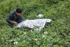 An officer of Tuyen Quang province's martyrs' remains search and recovery team actively searches for the remains of soldiers who laid down their lives in the defence of Vietnam's northern border. (Photo: VNA)