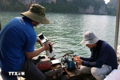 The research team collects seawater samples in Ha Long Bay and Cua Luc. (Photo: VNA)