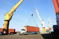 Cargo being unloaded at Phuoc Long ICD Port in Thu Duc city, Ho Chi Minh City. (Photo: VNA) 