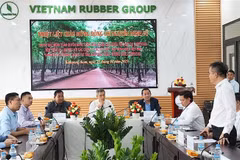 Vietnamese Ambassador to Cambodia Nguyen Minh Vu meets with leaders and staff of three rubber companies in Kampong Thom province, Cambodia. (Photo: VNA)
