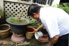 HCM City’s health workers inspect potential mosquito breeding sites during dengue fever surveillance. (Photo: VNA)