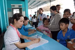 Gallery - Vietnam steps up conservation of medicinal plant genetic resources - image 1