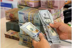 The daily reference exchange rate is set at 25,068 VND/USD on March 17. (Photo: VNA)