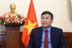 Permanent Deputy Minister of Foreign Affairs Nguyen Minh Vu grants an interview with the press ahead of the 33rd Diplomatic Conference and the 22nd National Conference on Foreign Affairs. (Photo published by VNA)