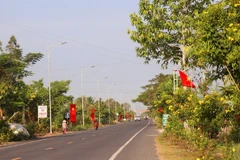 A rural road in Dong Hiep, an exemplary new-style rural commune in Co Do district in Can Tho city. (Photo: VNA)