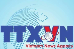 Concert in France supports Vietnamese AO victims 