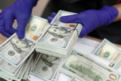 The State Bank of Vietnam sets the daily reference exchange rate at 25,236 VND/USD on September 8, down 12 VND from the last work day of the previous week. (Photo: VNA)