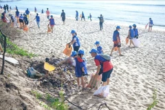 Many activities such as cleaning up beaches will be launched in response of the World Ocean Day on June 8. (Photo: VNA)