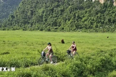 Foreign tourists in Viet Hai community-based tourism site. (Photo; VNA)