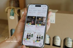 A quick report from data analytics platform Metric shows the number of active sellers across Shopee, TikTok Shop, Lazada and Tiki has dropped to just over 602,000, marking a year-on-year decline of more than 7%. (Illustrative photo: VNA)