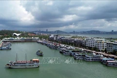 The Ha Long cruise fleet at Tuan Chau International Passenger Port. (Photo: VNA)