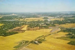 The latest approvals underscore the growing presence of Vietnamese rice in one of the world’s most demanding markets. (Photo: VNA)