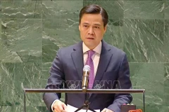 Ambassador Dang Hoang Giang, Permanent Representative of Vietnam to the United Nations delivers speech at the event. (Photo: VNA)