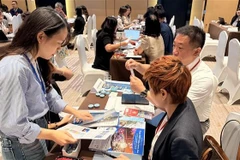 Vietnamese and Japanese travel businesses meet in person to exchange tourism information. (Photo: VNA)