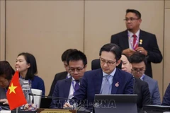 Deputy Minister of Foreign Affairs Do Hung Viet and the Vietnamese delegation at the ASEAN Senior Officials' Meeting (SOM) in Langkawi, Malaysia. (Photo: VNA)