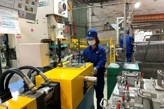 Production activities at Xuan Hoa Vietnam JSC, Phu Tho province. (Photo: qdnd.vn)