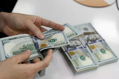 The daily reference exchange rate for the US dollar is set at 24,813 VND/USD on March 21. (Photo: VNA)