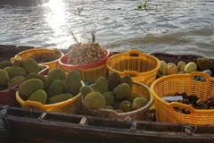 Kon Tum Province is implementing stricter quality control measures for durian and jackfruit exports following a warning from China about food safety shortfalls in some Vietnamese durian shipments. (Photo: VNA) 