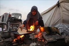 Palestinian residents in the Sheikh Radwan area, northern Gaza. (Photo: Xinhua/VNA)