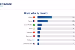 Vietnam Dairy Products JSC (Vinamilk) is recognised by Brand Finance as the world’s most potential dairy brand in 2025. (Photo: Brand Finance)