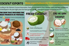 Coconut exports: New expectations for Vietnam's economy