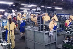 Vietnamese businesses remain optimistic about growth on international markets, according to HSBC’s latest survey. (Photo: VietnamPlus)