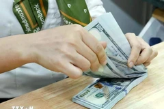 The daily reference exchange rate for the US dollar is set at 24,395 VND/USD on February 5. (Photo: VNA)