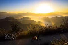 A poetic sunrise unfolds over Keo Lom Pass, Dien Bien province. (Photo: VNA)