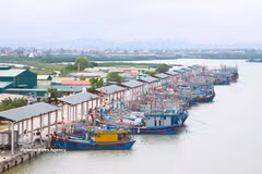Large-capacity fishing vessels from Quynh Phu commune, Nghe An province, dock at Lach Quen fishing port, where nearly all offshore boats have now been equipped with LED lighting systems. (Photo: VNA)