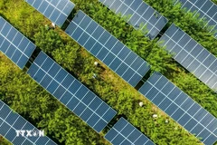 Solar panels. (Illustrative photo: AFP/VNA)