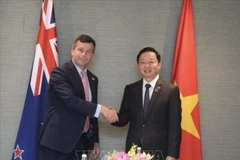 Vietnamese Deputy Prime Minister Tran Hong Ha (R) and New Zealand Deputy Prime Minister David Seymour. (Photo: VNA)