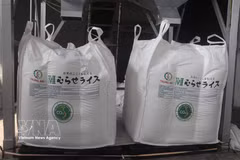 A shipment of Japonica rice certified as “Low-emission Green Vietnamese Rice” exported to Japan (Photo: VNA)