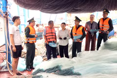 The Hai Phong Sub-Department of Fisheries, Livestock Production and Animal Health, in coordination with border guard forces, dissemines regulations on fisheries exploitation in Nam Trieu ward. (Photo: VNA)