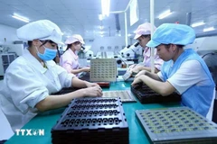 Women are increasingly participating in various sectors of production and playing a vital role. (Photo: VNA)
