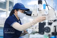 A worker assembles ultra-precision micro-components used in semiconductor chip production. (Photo: VNA)