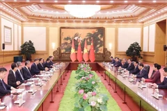 President Luong Cuong holds talks with Party General Secretary and President of China Xi Jinping. (Photo: VNA)
