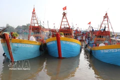 Fishing boats anchor at Vam Lang Fishing Port in Gia Thuan commune, Dong Thap province. (Photo: VNA)