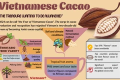 Vietnamese cacao - The treasure waiting to be awakened