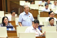 Deputy Nguyen Van Than (Thai Binh province) (Photo: VNA)