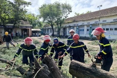 Fallen tree at Nguyen Hong Son Secondary School, Xuan Dai ward, Dak Lak province removed. (Photo: VNA)