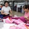 Garment production for export to the EU at TNG Garment Company in Thai Nguyen province. (Photo: VNA)
