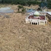 An aerial view shows vast remains of uprooted trees at the Darul Mukhlisin Islamic boarding school and mosque in the aftermath of flash floods at Aceh Tamiang in Northern Sumatra on Dec 10, 2025. (Photo: AFP)