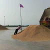 A pile of paddy rice is dumped by a truck. (Photo: bangkokpost.com) 