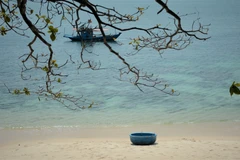 Da Nang’s Son Cha Island captivates with pristine natural charm