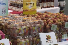 “Vietnamese Goods Day” promotes Bac Giang lychees in Germany