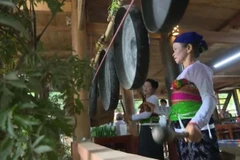 Thanh Hoa promotes sustainable green tourism