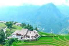 Vietnam tourism: Green experiences and sustainable travel