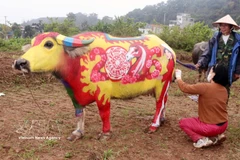 Buffalo body-painting competition delights festival-goers