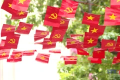 Foreign visitors impressed by Vietnam’s National Day celebrations