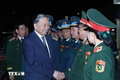 Party chief inspects combat readiness at public security, military units